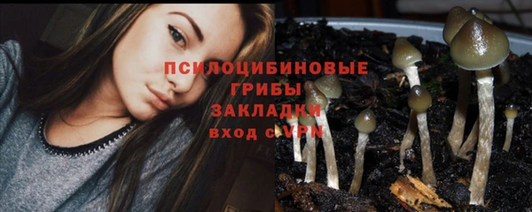 бутират Алексеевка